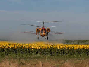 mg.kamov-300